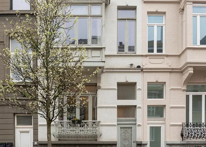 Spacious 7-bed House In